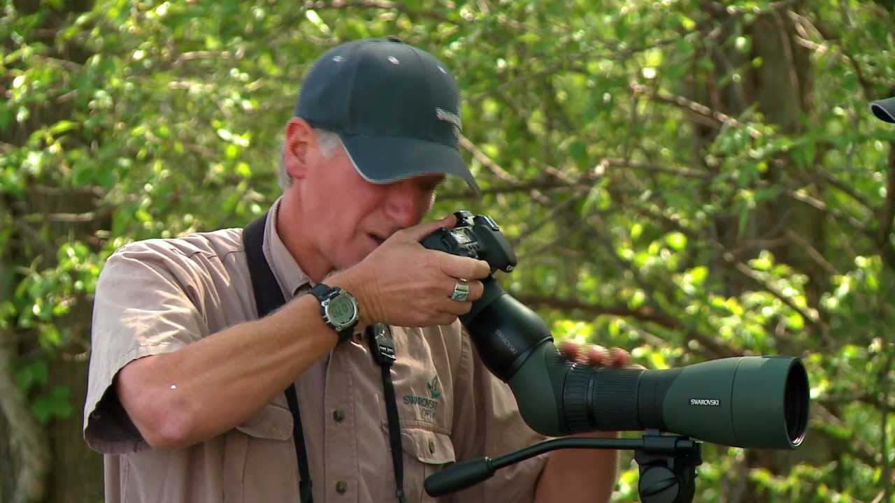 SWAROVSKI OPTIK ATX spotting scope with the camera adapter TLS APO