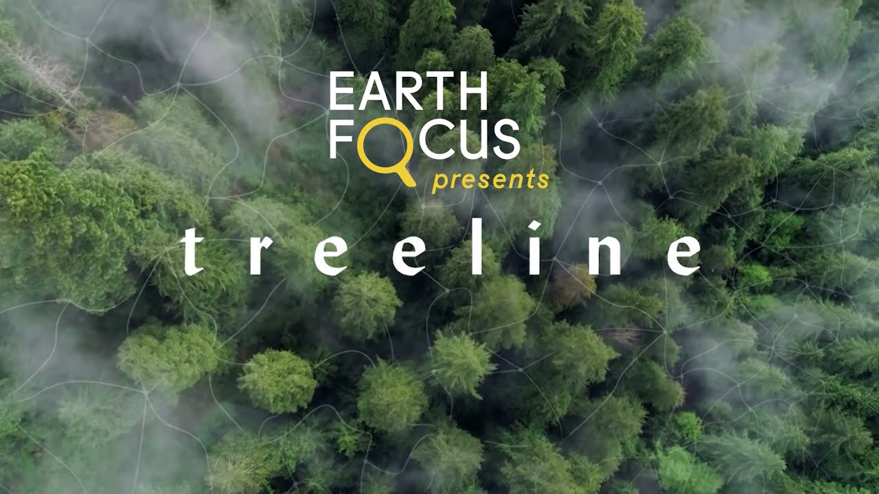 Treeline (Preview) | Earth Focus Presents S5