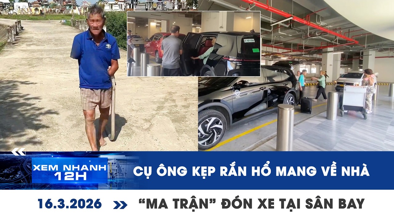 [LIVE] XEM NHANH 12H: Bị rắn cắn kẹp luôn rắn về nhà | Tiếp diễn “ma trận” đón xe tại sân bay TSN