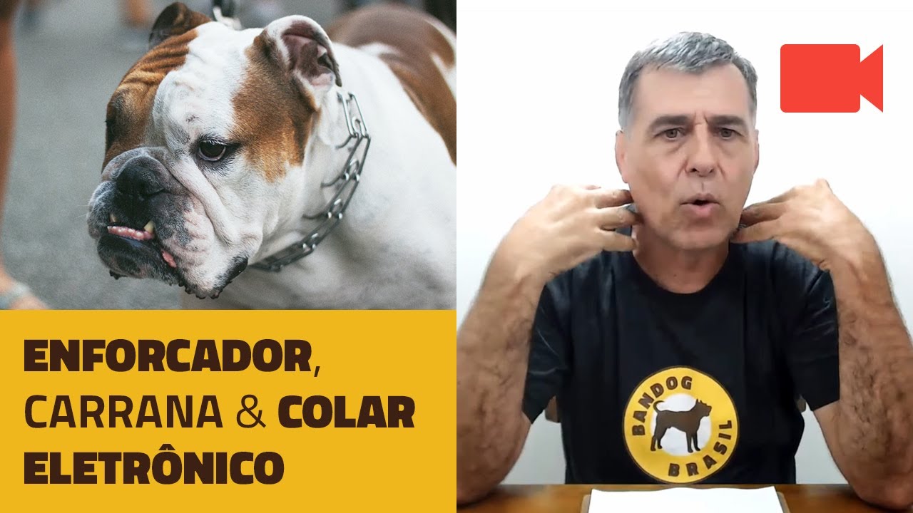 Enforcador, carrana e colar eletrônico.
