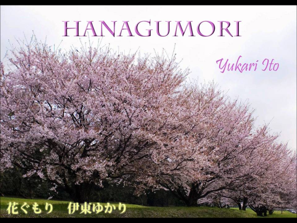 伊東ゆかり｜花ぐもり Yukari Ito hanagumori