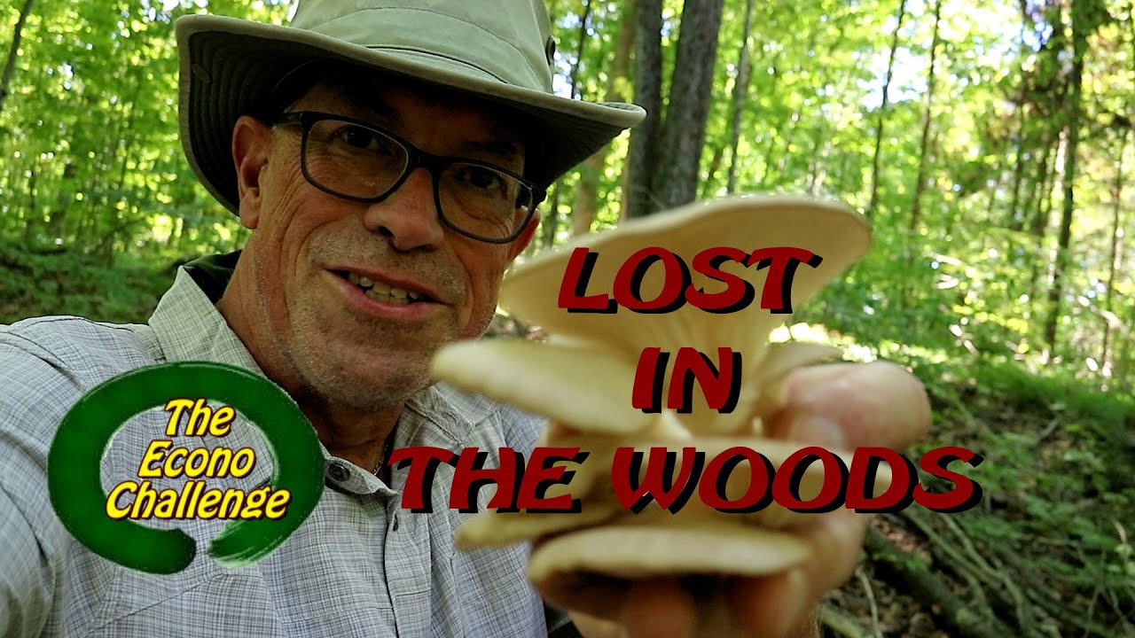 Lost In The Woods – Inspired by The Blair Witch Project