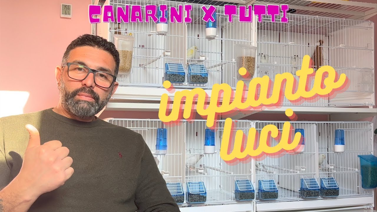 impianto luci