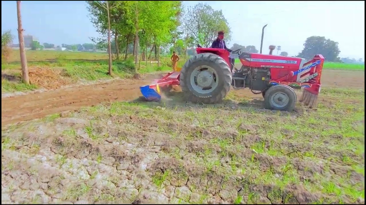 REAPER BINDER MACHINE Harvesting Paddy / Rice.#TechnicalFarmer