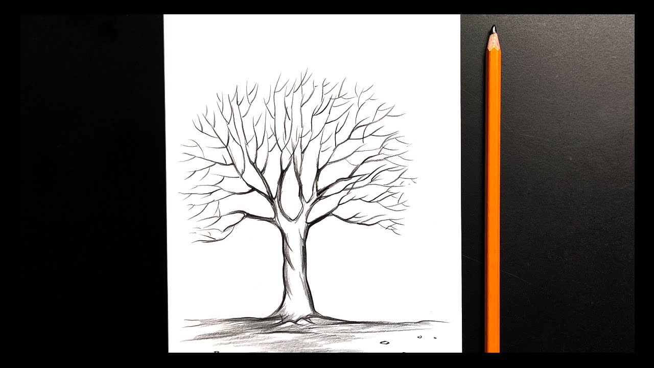 How to draw dry tree easy step by step || Dry tree drawing easy
