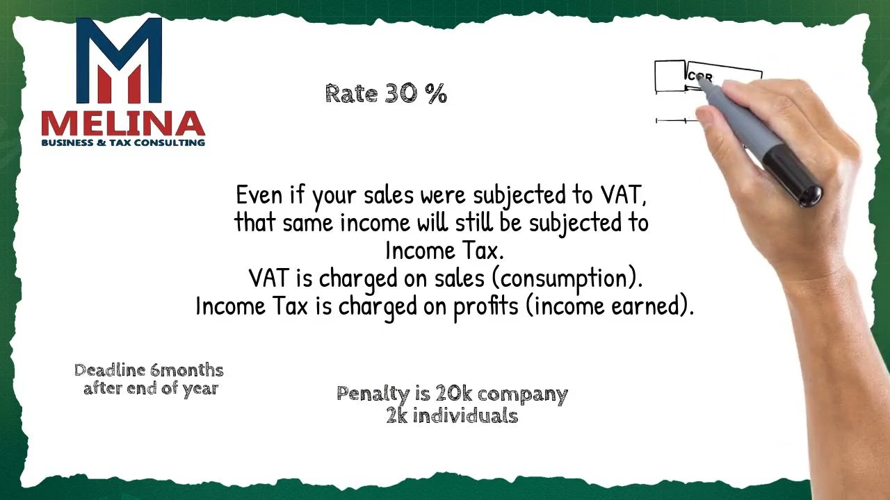 Small Business Taxes Made Simple 💡🧾