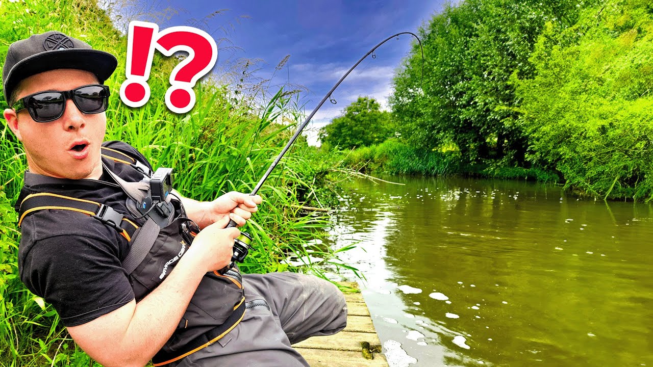Un PRÉDATEUR se cache dans cette minuscule rivière !