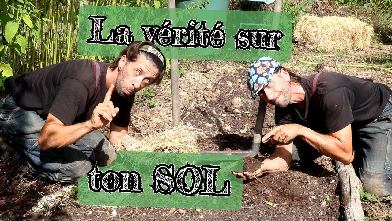MSV, Permaculture, Syntropie... Ce qu'on ne vous dit jamais !