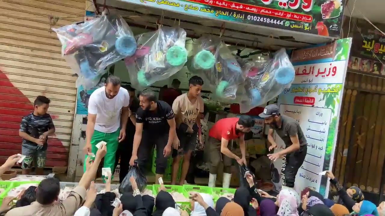 عروض بيع البط وزير الغلابه ابوانس ارخص سعر ف مصر 🐓🔥