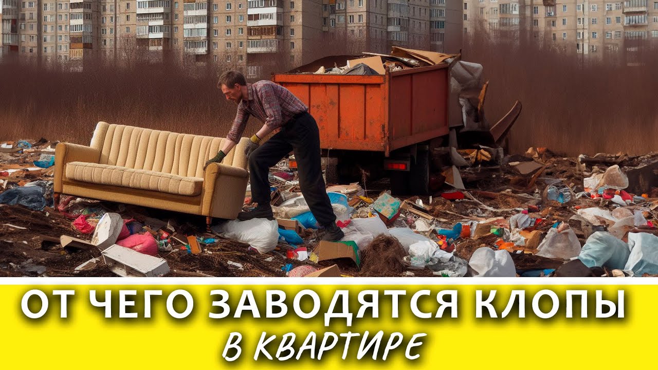 Рассказываем, как предотвратить появление клопов в вашей квартире