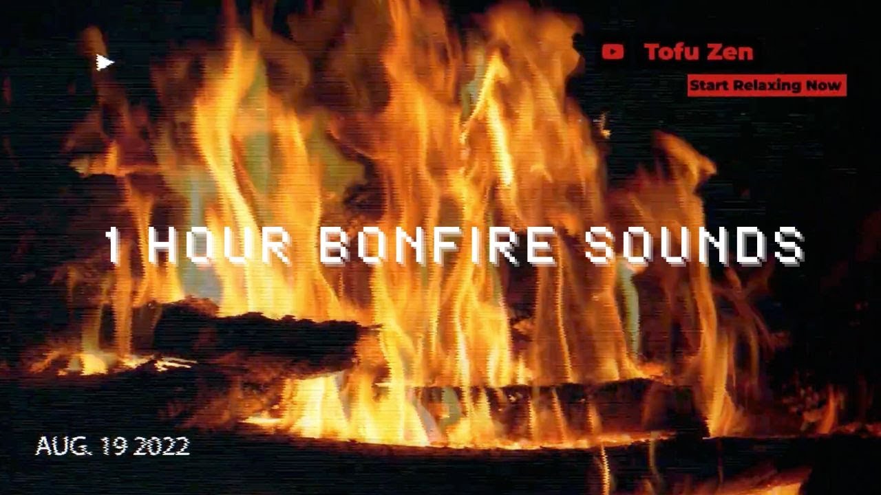 Bonfire with Crackling Fire Sounds - Burning woods with No Music - 1 HOUR (Full HD)