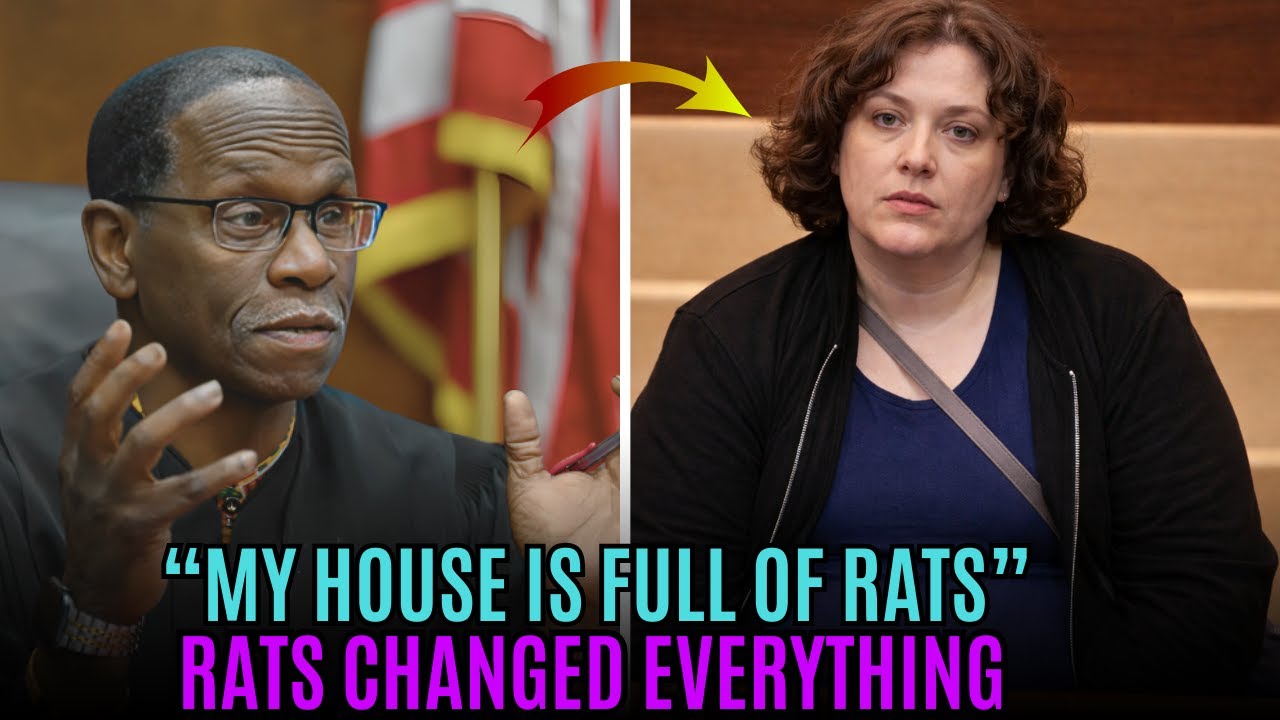 Tenant Says His Home Is a “Rat Hotel” — Courtroom Stunned