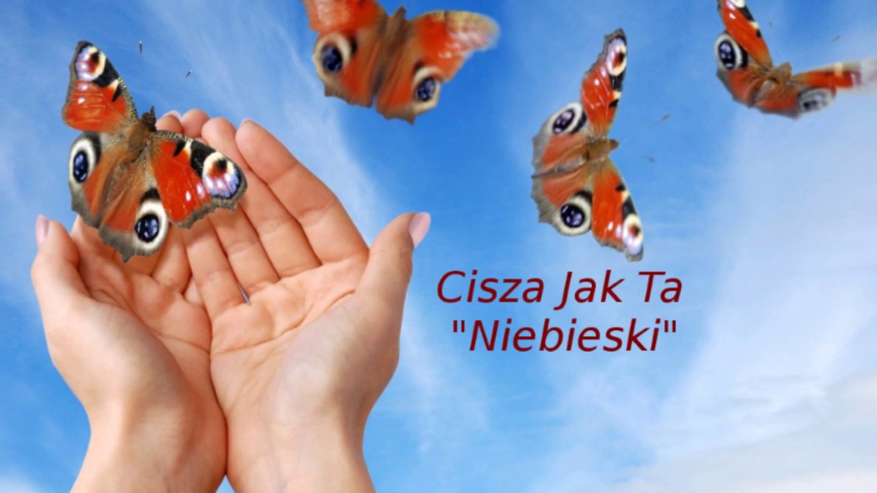 Cisza Jak Ta -  Niebieski