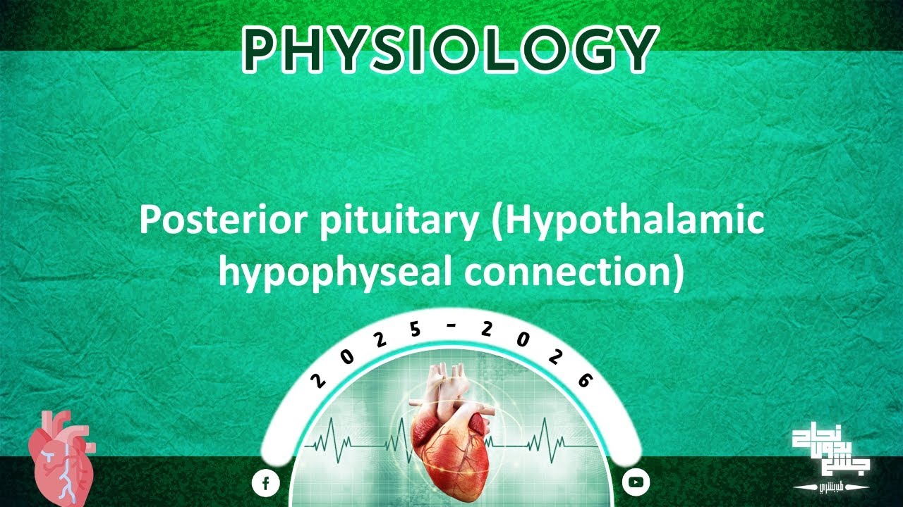 Revision of L2: Posterior pituitary (hypothalamic hypophyseal connection); Physiology