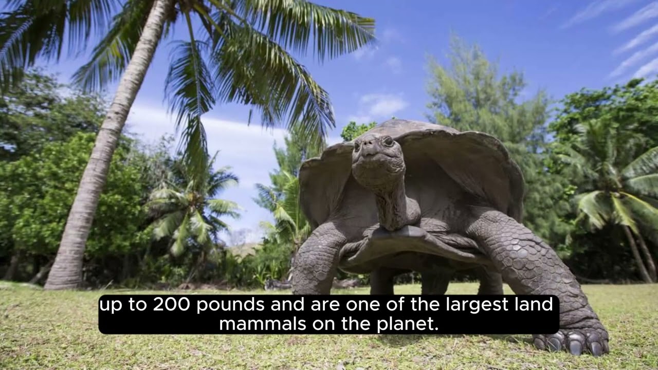 The Gal&aacute;pagos Islands, Ecuador , Adventure Travel