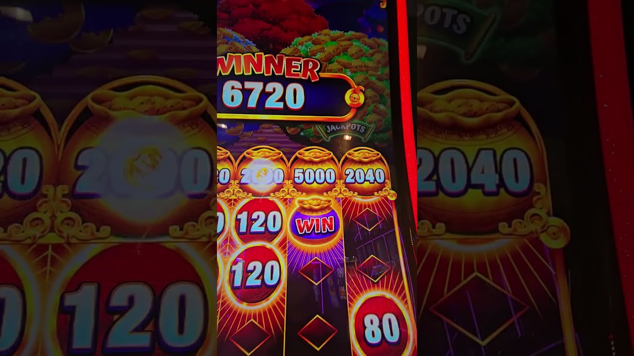 Small spins lead to big wins on Cash Frenzy #likeandsubscribe #slots #casino #gambling 