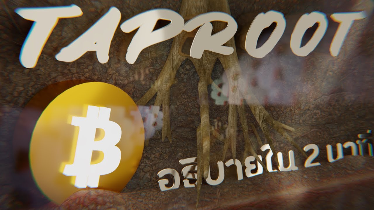 Bitcoin Taproot คืออะไร? อธิบายใน 2 นาที