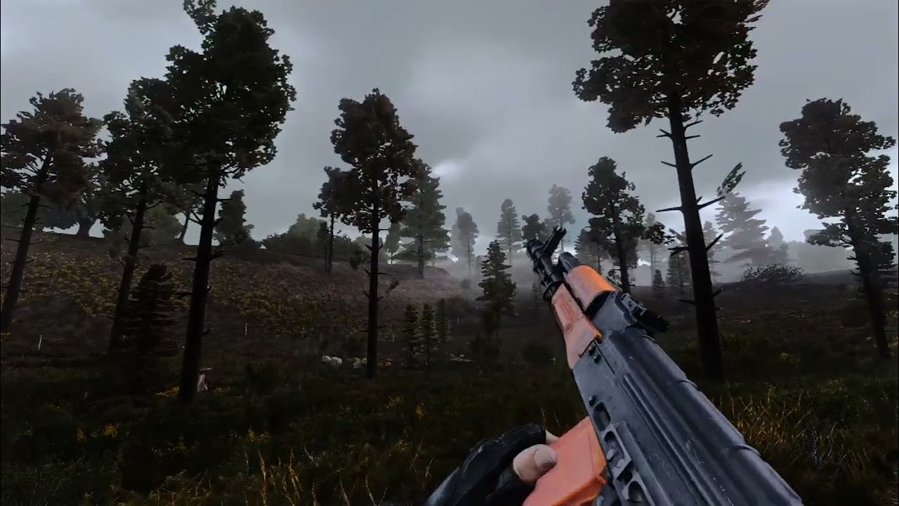 S.T.A.L.K.E.R RE|BORN - Ambient soundscape - Cordon (Day, Foggy, Cloudy, Rain, Storm)