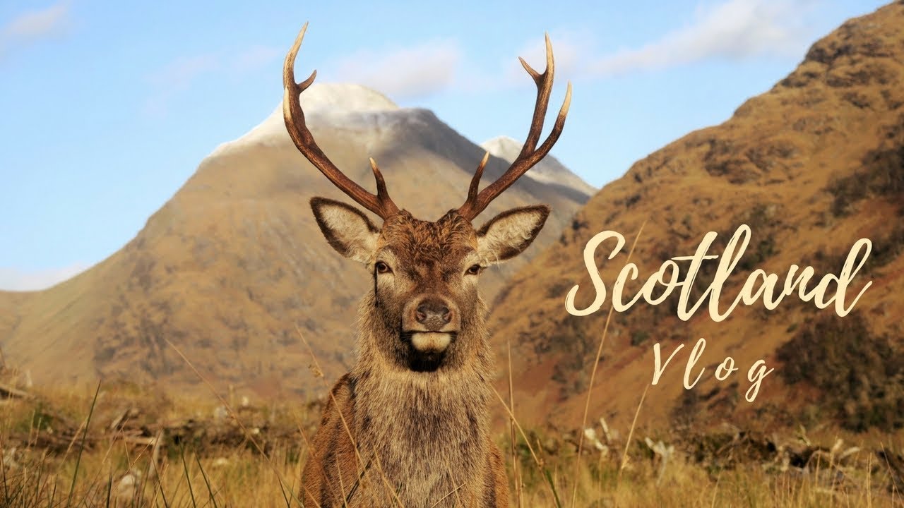Exploring the Scottish Highlands 🌿   | Minimalist Travel | Slow Living | Vlog
