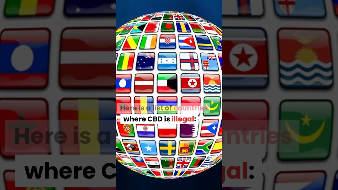 The Ultimate Guide to CBD Legality: Which Countries Don't Allow CBD?