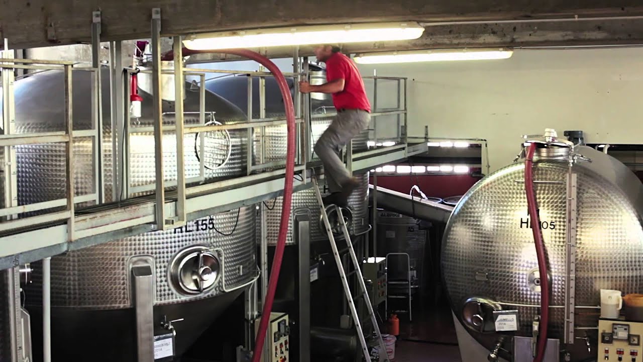 Viticoltura eroica in Valtellina. Casa vinicola Nino Negri