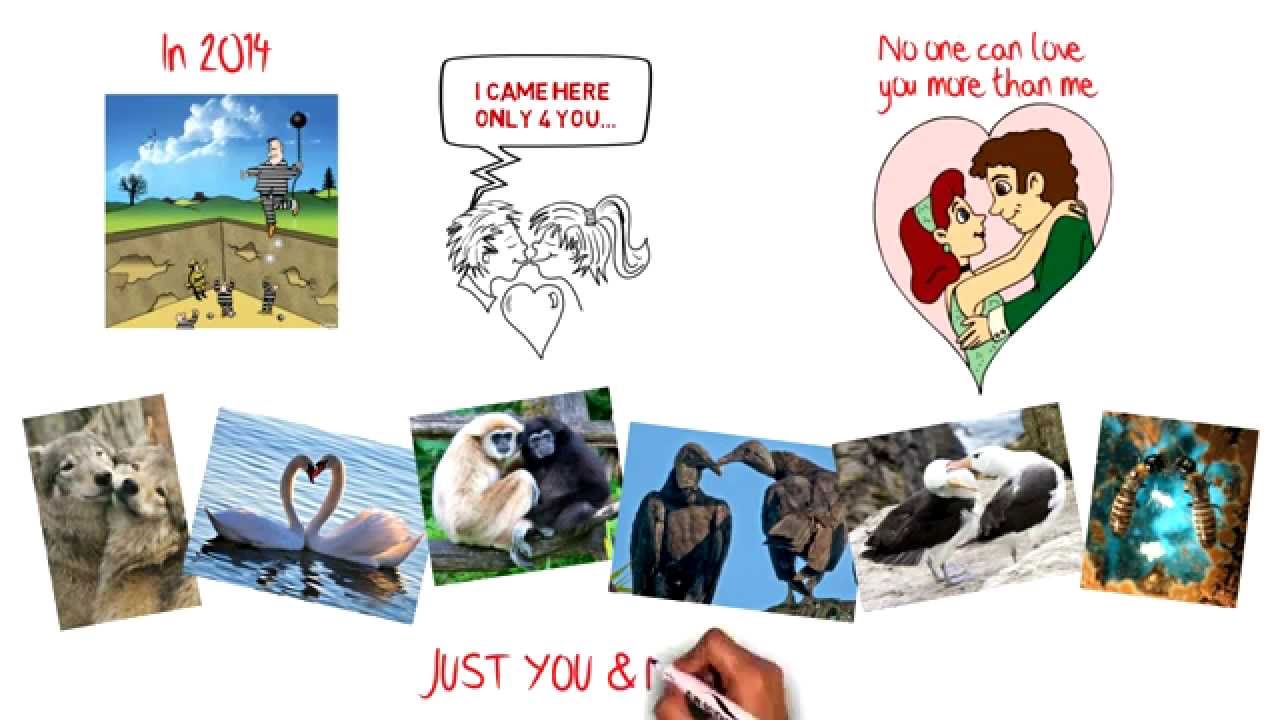 Interesting Love Facts - The Science of Love