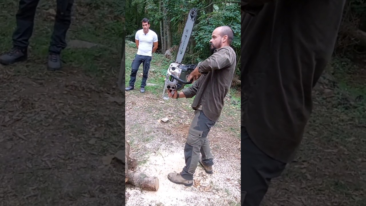 MOTOSIERRA. #le&ntilde;a #sierra #tutorial #cortar #supervivencia #bushcraft #escuela #aventuras #bosque