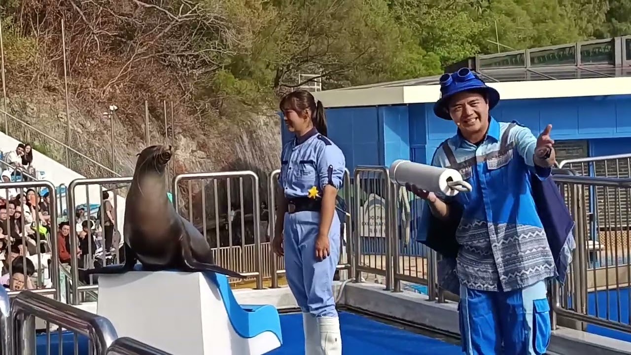 2026年2月7日海洋守護者