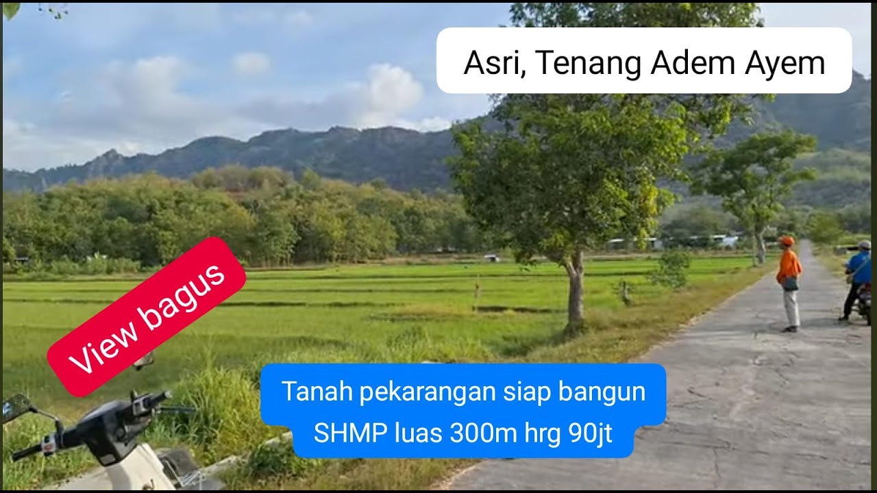 ❌️TERJUAL Tanah pekarangan siap bangun, SHM luas 300 m² hrg 90jt. lingkungan asri, nyaman, adem ayem