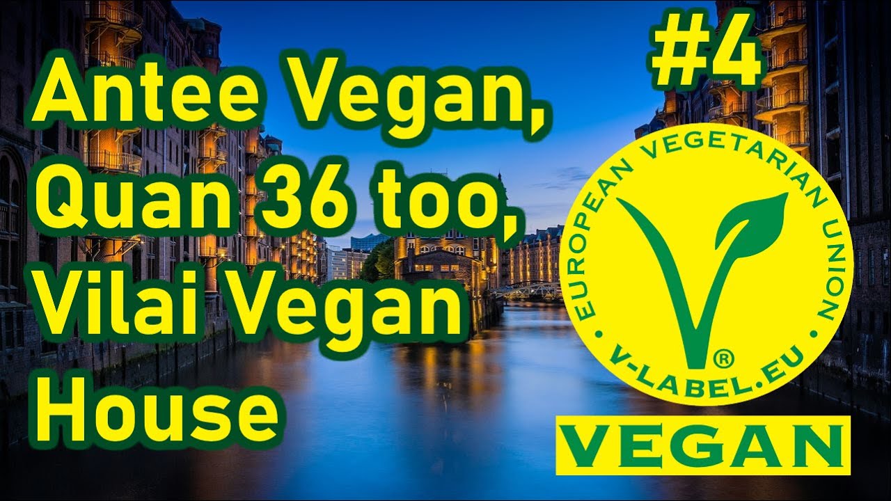 Vegan in Hamburg #4: AnTee Vegan, Quan 36 too, Vilai Vegan House