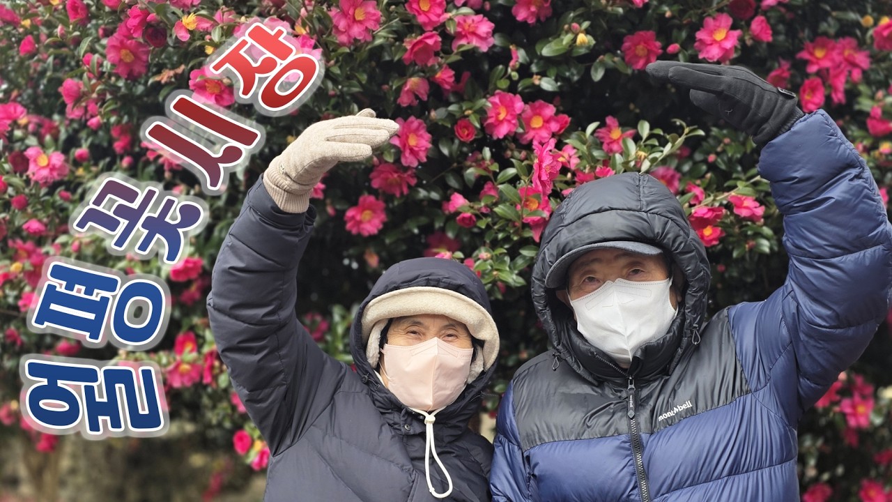 부모님과 함께하는 제주도 여행-월평꽃시장