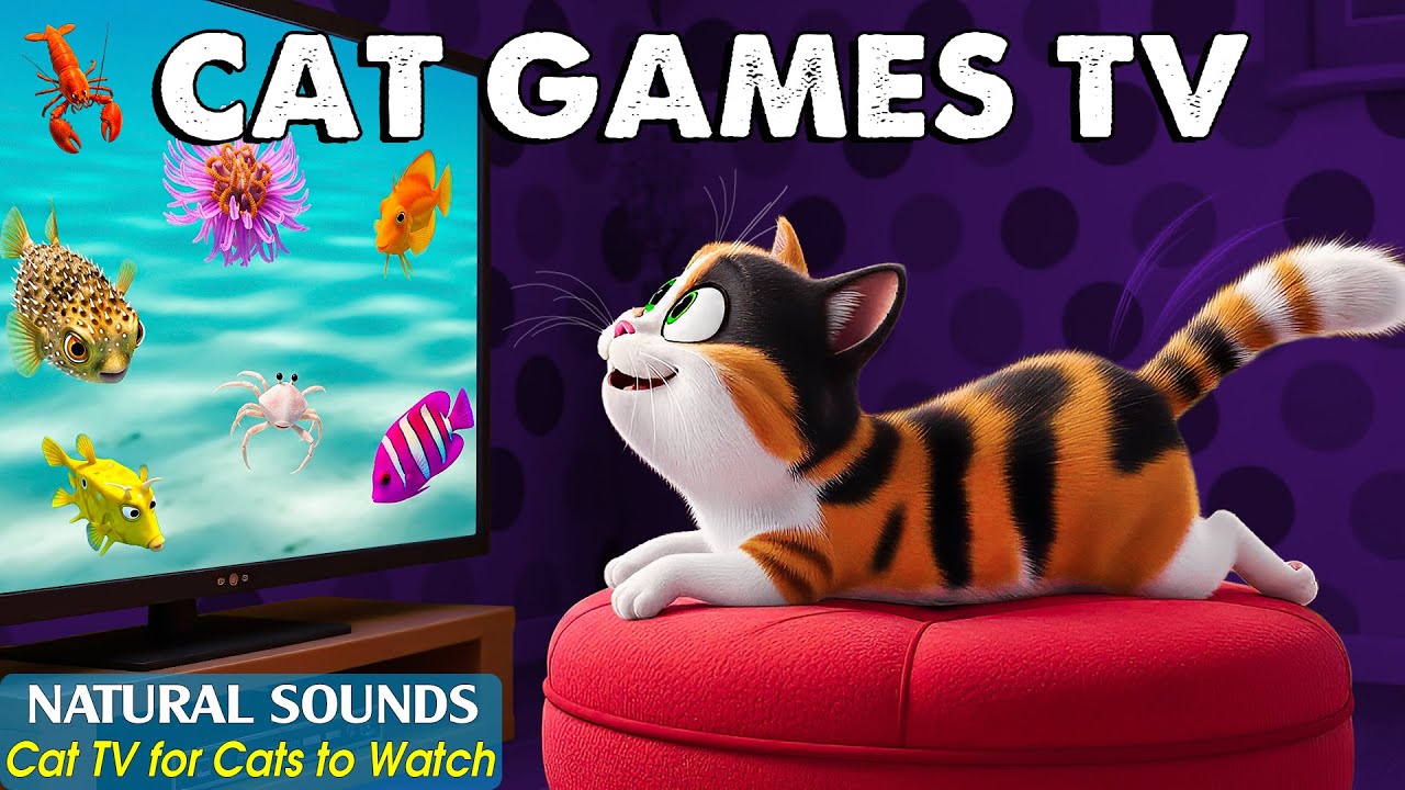 Stimulating Cat Games TV－Anti-Loneliness & Funny Cat Games to Prevent Boredom 😸 CAT ENTERTAINMENT TV