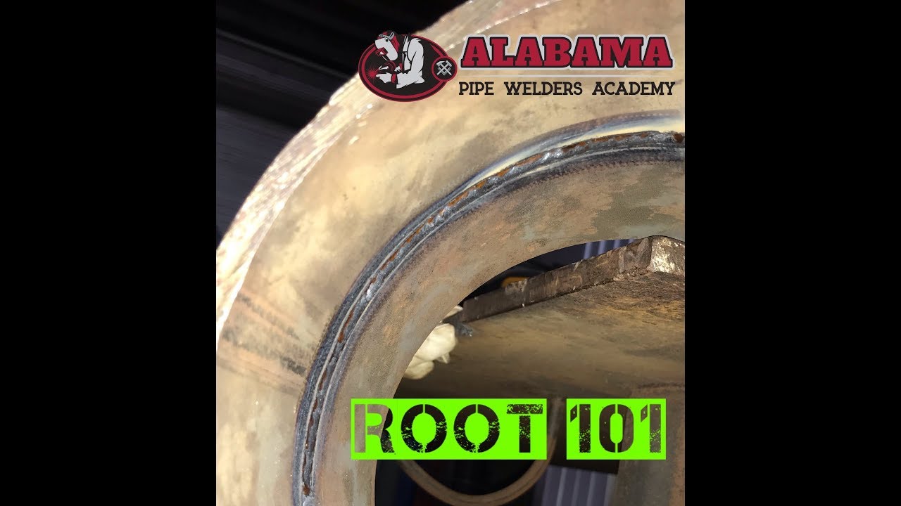 Root 101