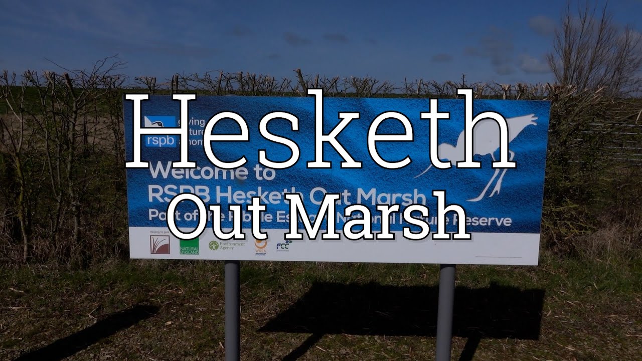 Galloway's Get Active Audio Described walk: Hesketh Out Marsh