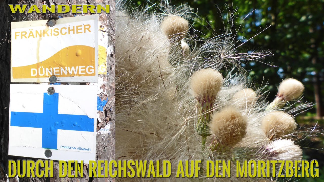 Wanderung - Durch den Reichswald auf den Moritzberg