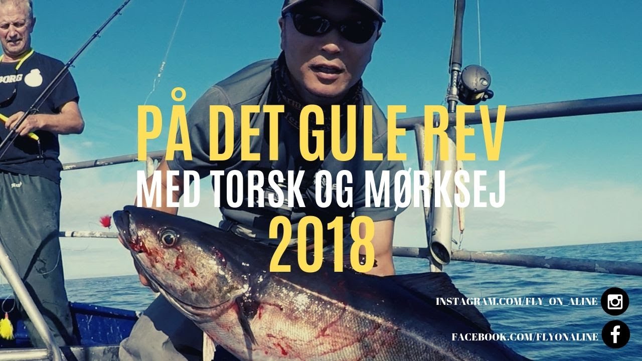 På det gule rev, en rigtig fed oplevelse med torsk og mørksej