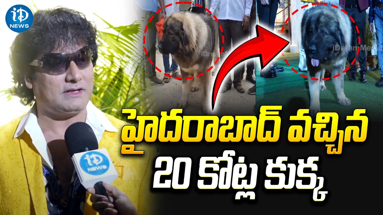 అమ్మ బాబోయ్.. ఈ కుక్క ఖరీదు రూ.20 కోట్లా..| Dog Worth 20 Crores | Caucasian Shepherd | iDream News