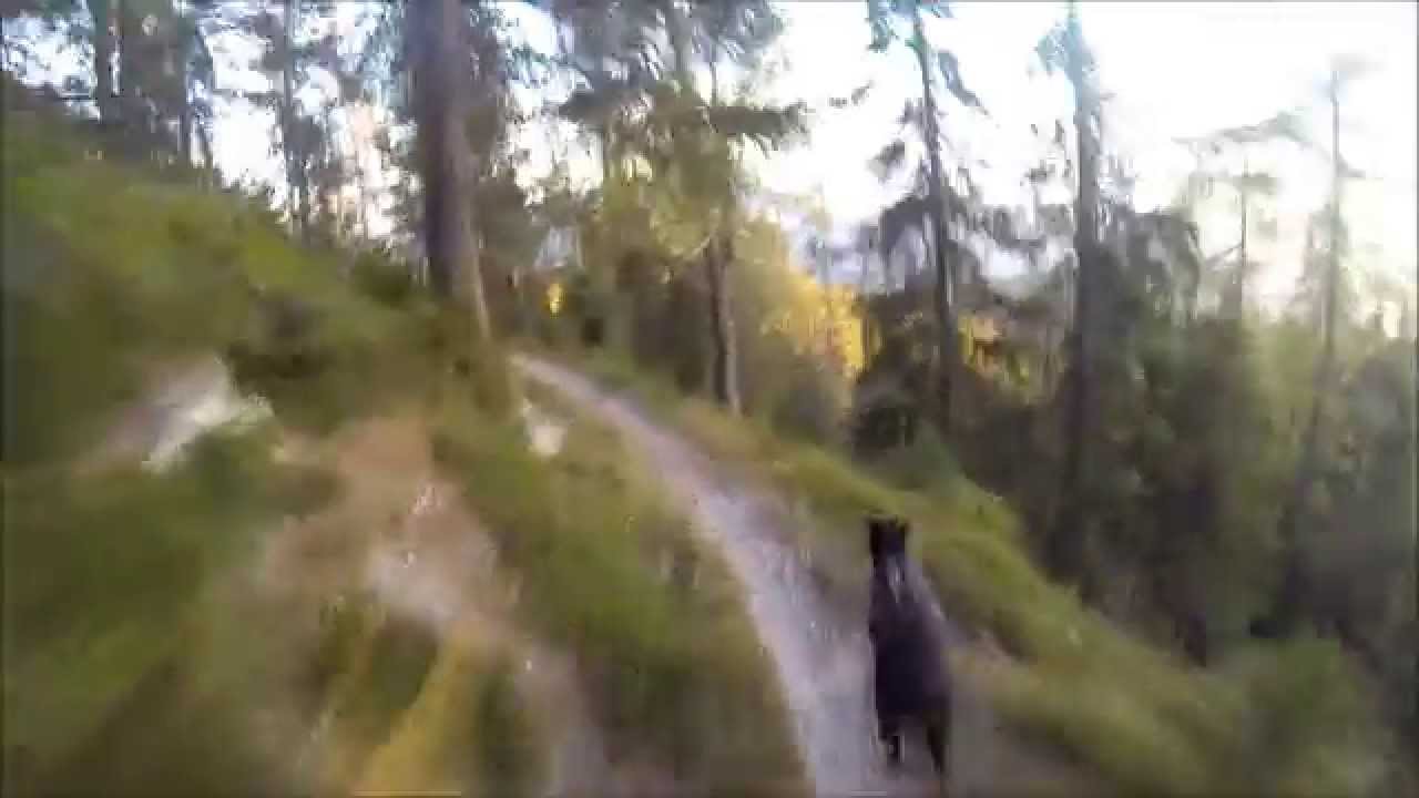 MTB Friuli | Val Bartolo Feistritz M. Acomizza