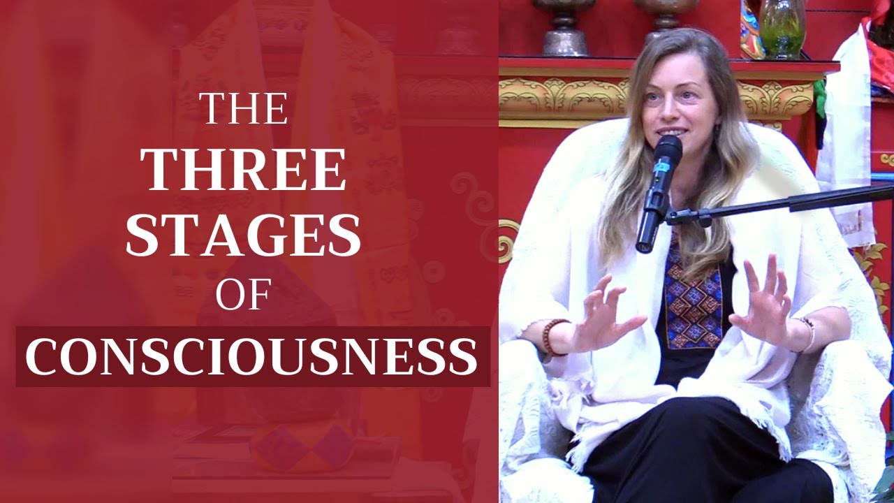 The 3 Stages of Consciousness (EXPLAINED)