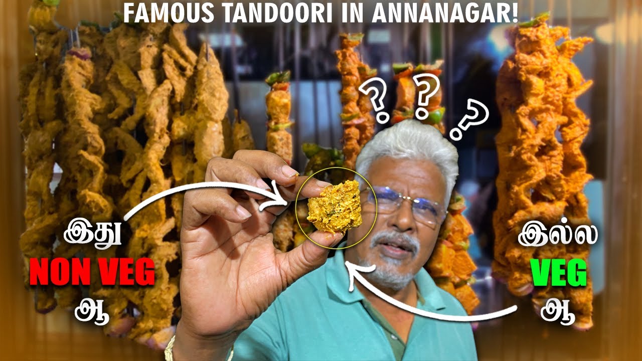 Veg Tandoori but Tastes like NonVeg?! 😯| Delhi Tandoori Chaap!