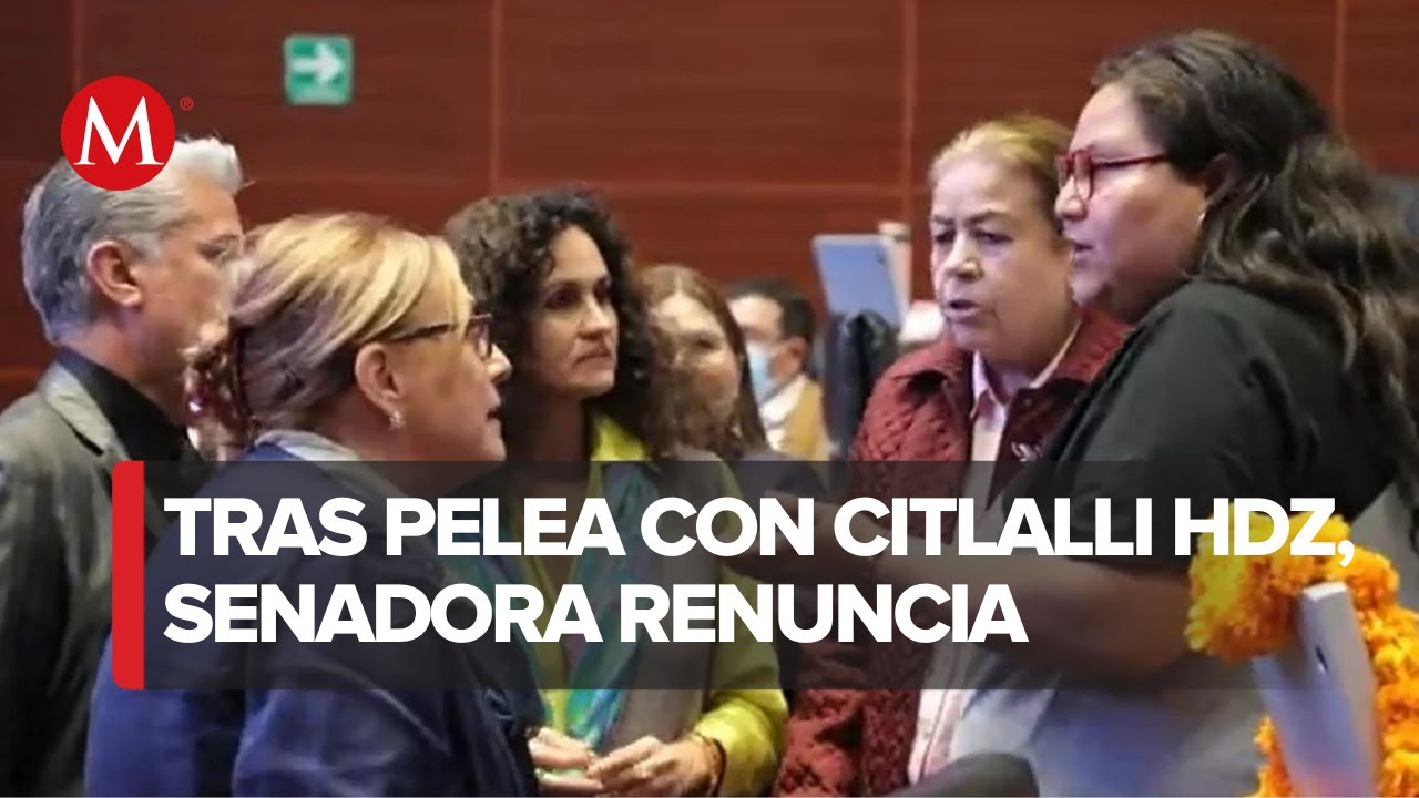 'Malú' Micher anuncia su renuncia a Morena durante una sesión del Senado