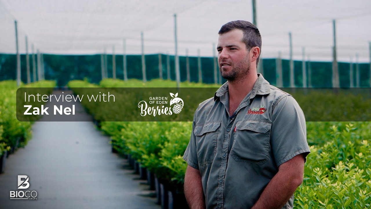Zak Nel | Garden of Eden Berries | Bioco Testimonial