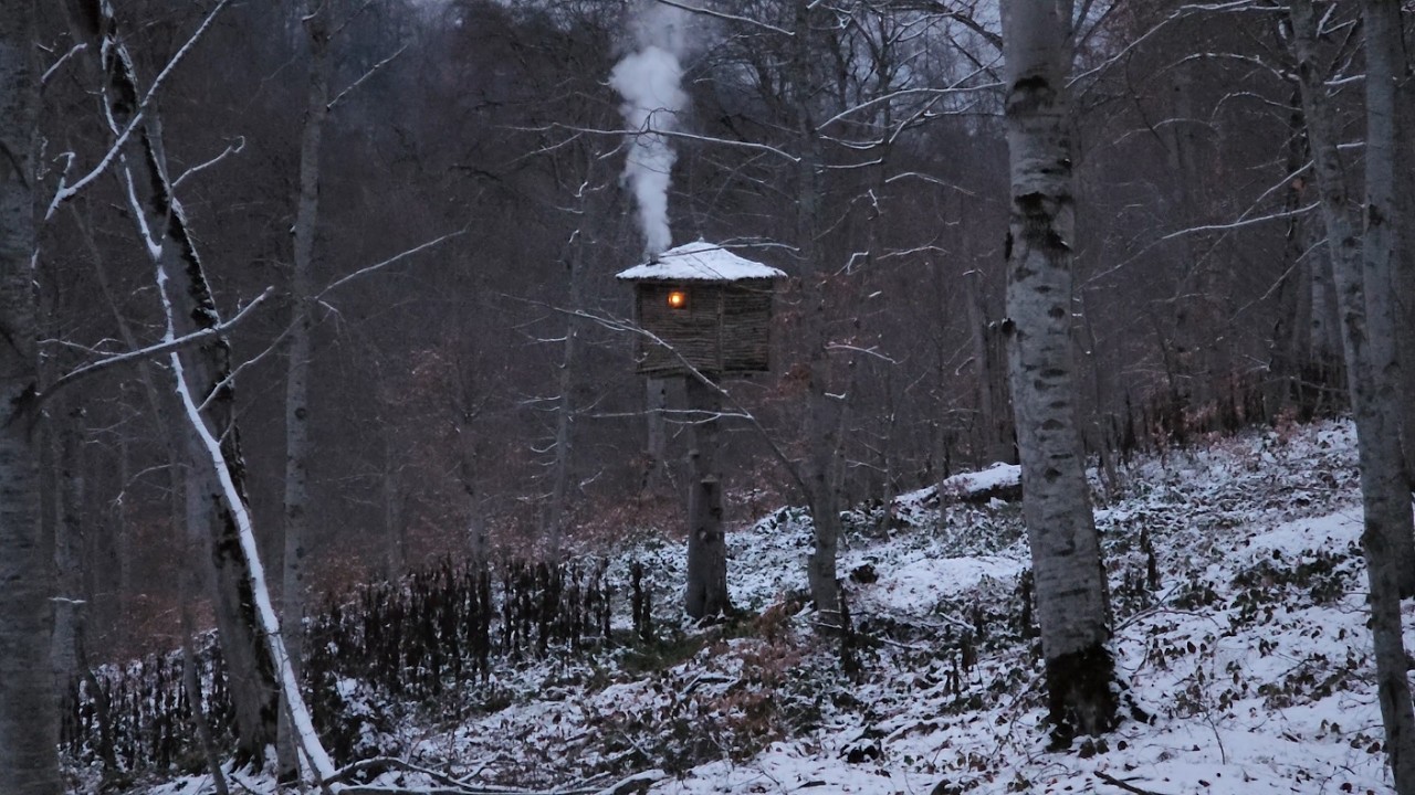 Extreme Cold Bushcraft: Alone in the Cabin When Something Screamed