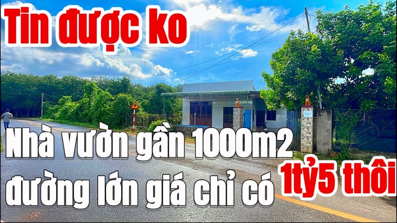 Giá rẻ hết hồn luôn! Bán nhà vườn Gần 1000m2, mặt tiền đường lớn vườn trái cây giá chỉ 1tỷ5. Ở BRVT