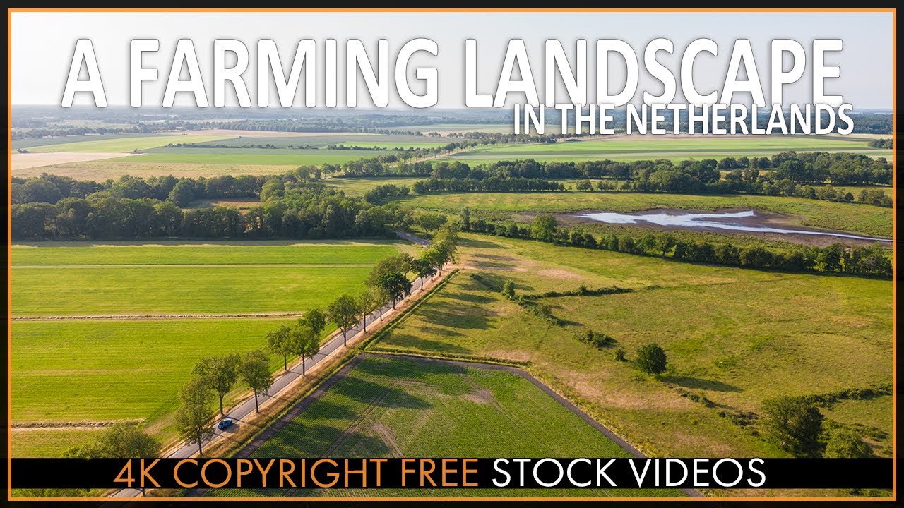 4K Dutch Farming Landscapes - Copyright Free Stock Footage
