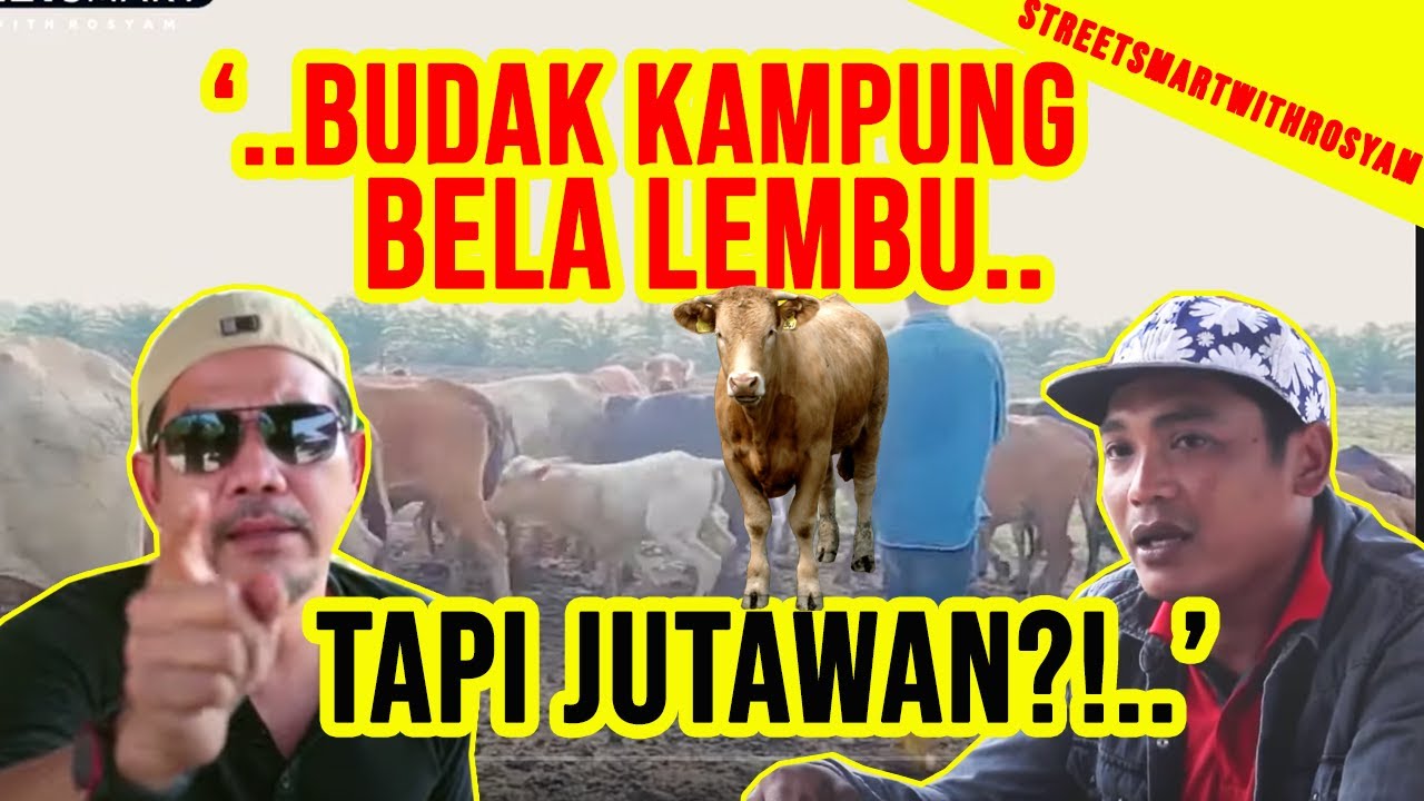 BUDAK KAMPUNG, BELA LEMBU, SEKOLAH SAMPAI DARJAH 6 TAPI JUTAWAN?!