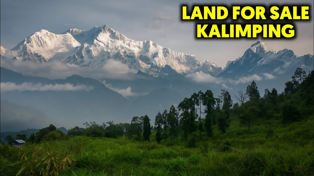 Land For sale | Kanchanjanga View Land Samthar Kalimpong | Property Sale Kalimpong