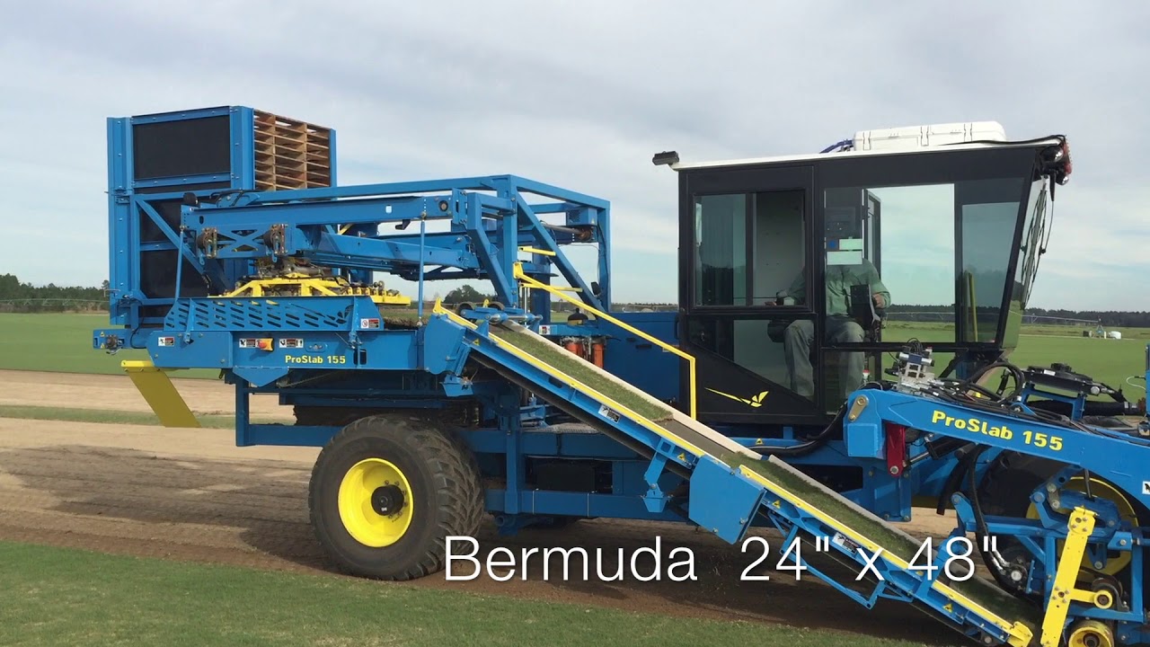 FireFly's ProSlab 155 in Florida