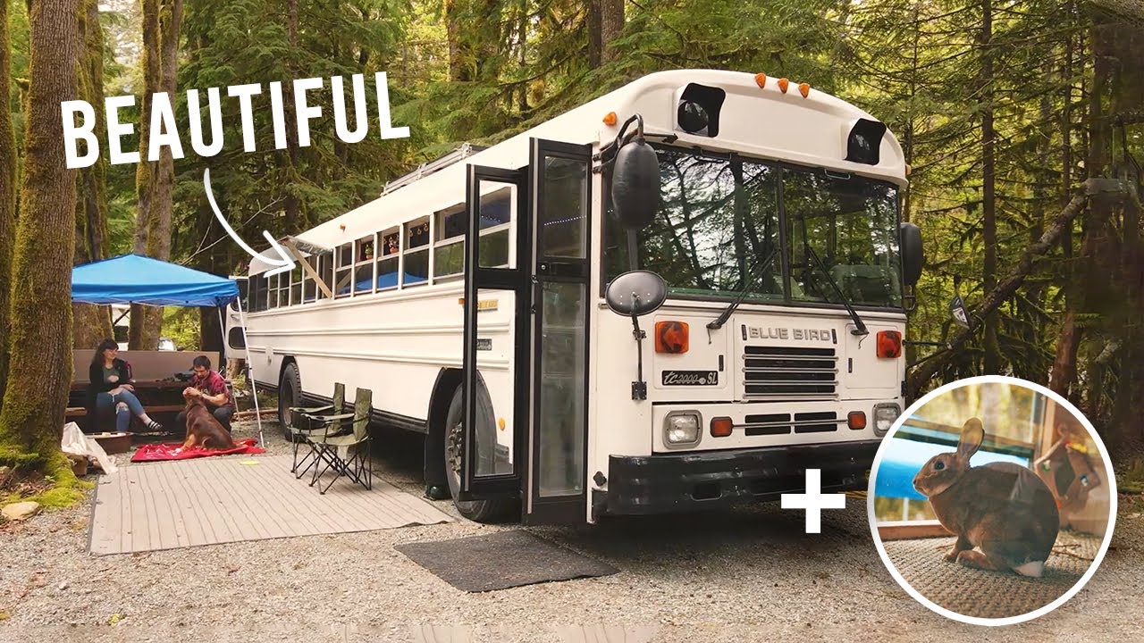 Couple Self Converts Blue Bird School Bus And Leaves The Big City For Life In The Slow Lane