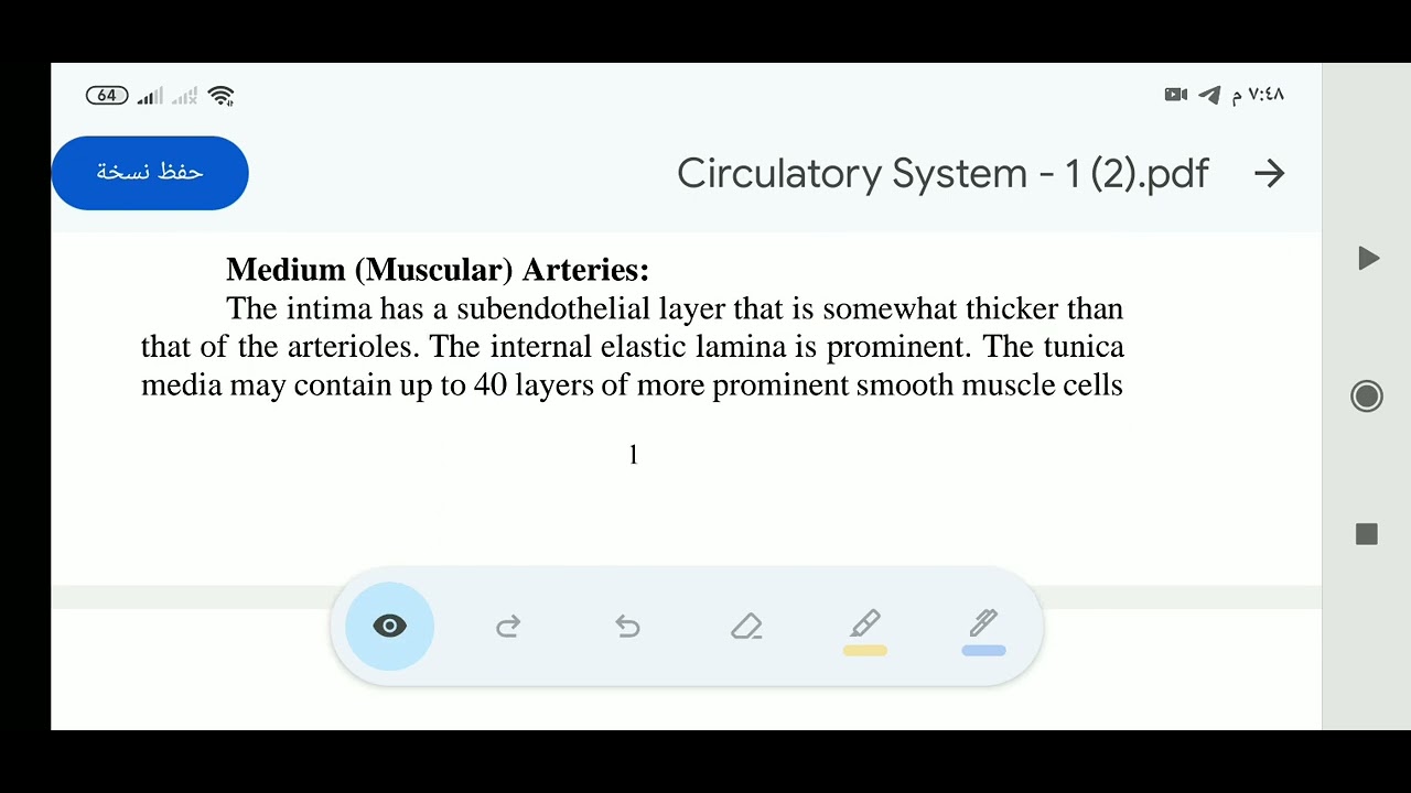 histology of the circulatory system